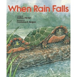 When Rain Falls