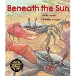 Beneath the Sun