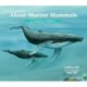About Marine Mammals: A Guide for Children (Educational Science Book About Whales, Dolphins, Polar Bears & More for STEM Learning)
