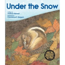 Under the Snow
