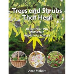Trees and Shrubs that Heal: Reconnecting With The Medicinal Forest