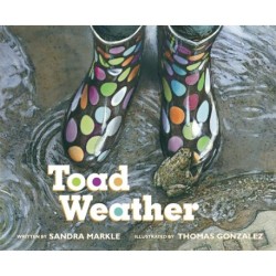 Toad Weather