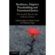 Resilience, Adaptive Peacebuilding and Transitional Justice: How Societies Recover after Collective Violence