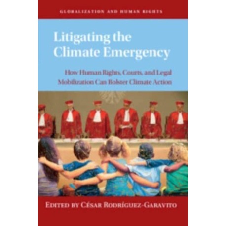 Litigating the Climate Emergency: How Human Rights, Courts, and Legal Mobilization Can Bolster Climate Action
