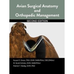 Avian Surgical Anatomy And Orthopedic Management, 2nd Edition
