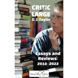 Critic at Large: Essays and Rreviews 2010-2022