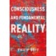 Consciousness and Fundamental Reality