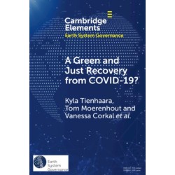 A Green and Just Recovery from COVID-19?: Government Investment in the Energy Transition during the Pandemic