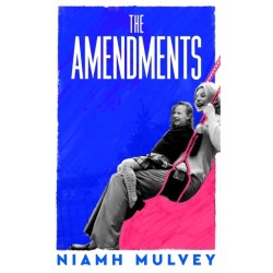 The Amendments: the instant Irish bestseller about one family through the generations
