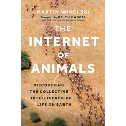 The Internet of Animals: Discovering the Collective Intelligence of Life on Earth