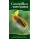 Caterpillars of North America: Easily Identify 90 Common Butterflies and Moths