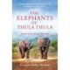 The Elephants of Thula Thula