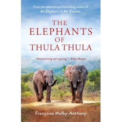 The Elephants of Thula Thula