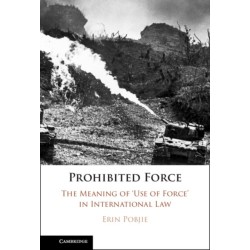 Prohibited Force: The Meaning of ‘Use of Force' in International Law