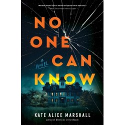 No One Can Know: A Novel