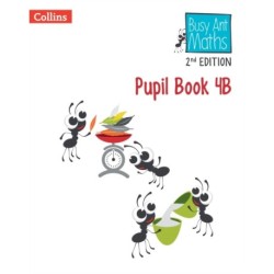 Pupil Book 4B