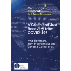 A Green and Just Recovery from COVID-19?: Government Investment in the Energy Transition during the Pandemic
