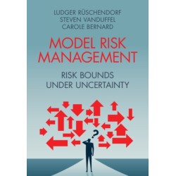 Model Risk Management: Risk Bounds under Uncertainty
