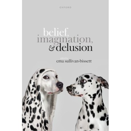 Belief, Imagination, and Delusion