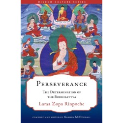 Perseverance: The Determination of the Bodhisattva