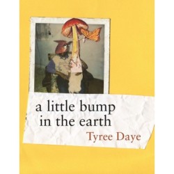 a little bump in the earth