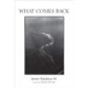 What Comes Back