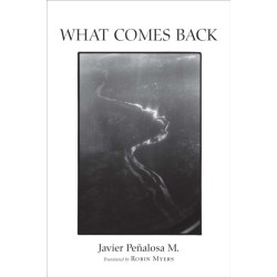 What Comes Back