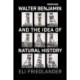 Walter Benjamin and the Idea of Natural History