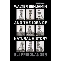 Walter Benjamin and the Idea of Natural History