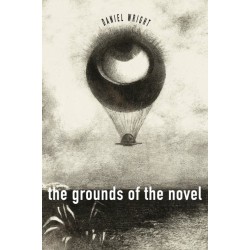 The Grounds of the Novel