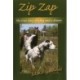 Zip Zap: The True Story of a Dog and a Dream