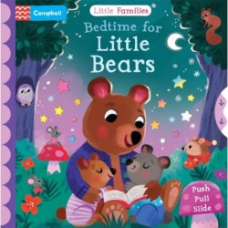 Bedtime for Little Bears: A Push Pull Slide Book