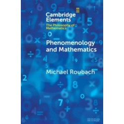 Phenomenology and Mathematics