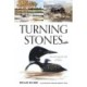 Turning Stones: Discovering the Life of Water