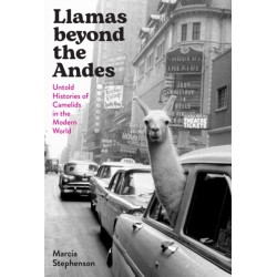 Llamas Beyond the Andes: Untold Histories of Camelids in the Modern World