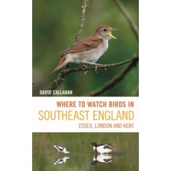 Where to Watch Birds in Southeast England: Essex, London and Kent