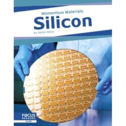 Silicon