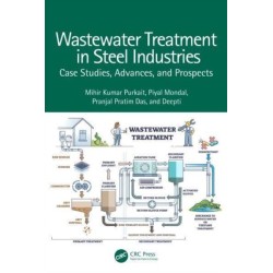 Wastewater Treatment in Steel Industries: Case Studies, Advances, and Prospects