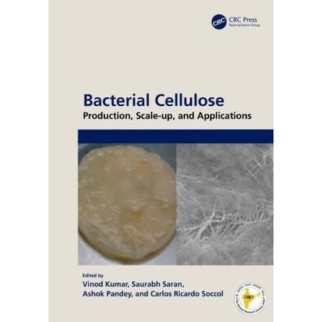 Bacterial Cellulose: Production, Scale-up, and Applications