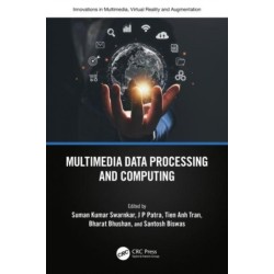 Multimedia Data Processing and Computing