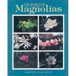 The World of Magnolias