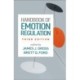 Handbook of Emotion Regulation, Third Edition