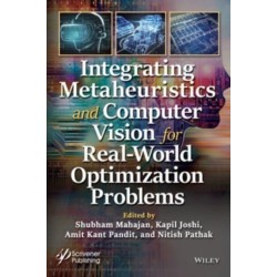 Integrating Metaheuristics in Computer Vision for Real-World Optimization Problems