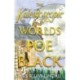 The Kaleidoscopic Worlds of Poe Black: The Dark Energy