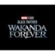 Marvel Studios' Black Panther: Wakanda Forever - The Art of The Movie