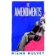 The Amendments: the instant Irish bestseller about one family through the generations