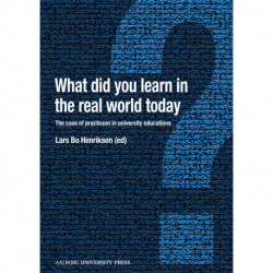 What did you learn in the real world today?: the case of practicum in university education