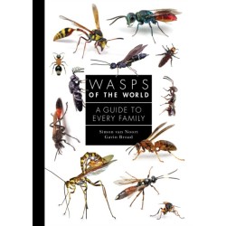 Wasps of the World: A Guide to Every Family