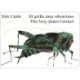The Very Quiet Cricket/El grillo muy silencioso (Bilingual English-Spanish Edition)