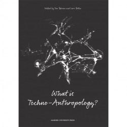 What is techno-anthropology?
